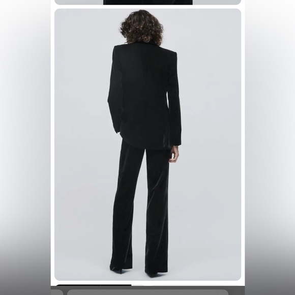 BNWT Zara Velvet Pants - Picture 2 of 2